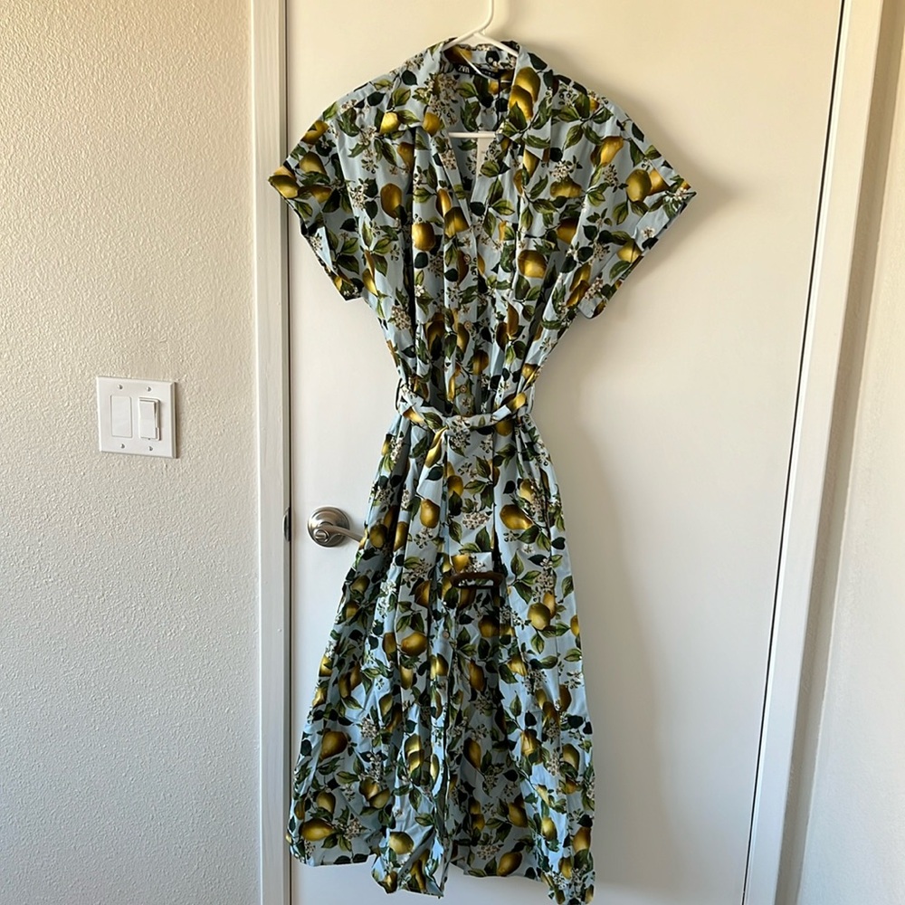 Zara Retro Pear Print Dress. NWT. Size Large.